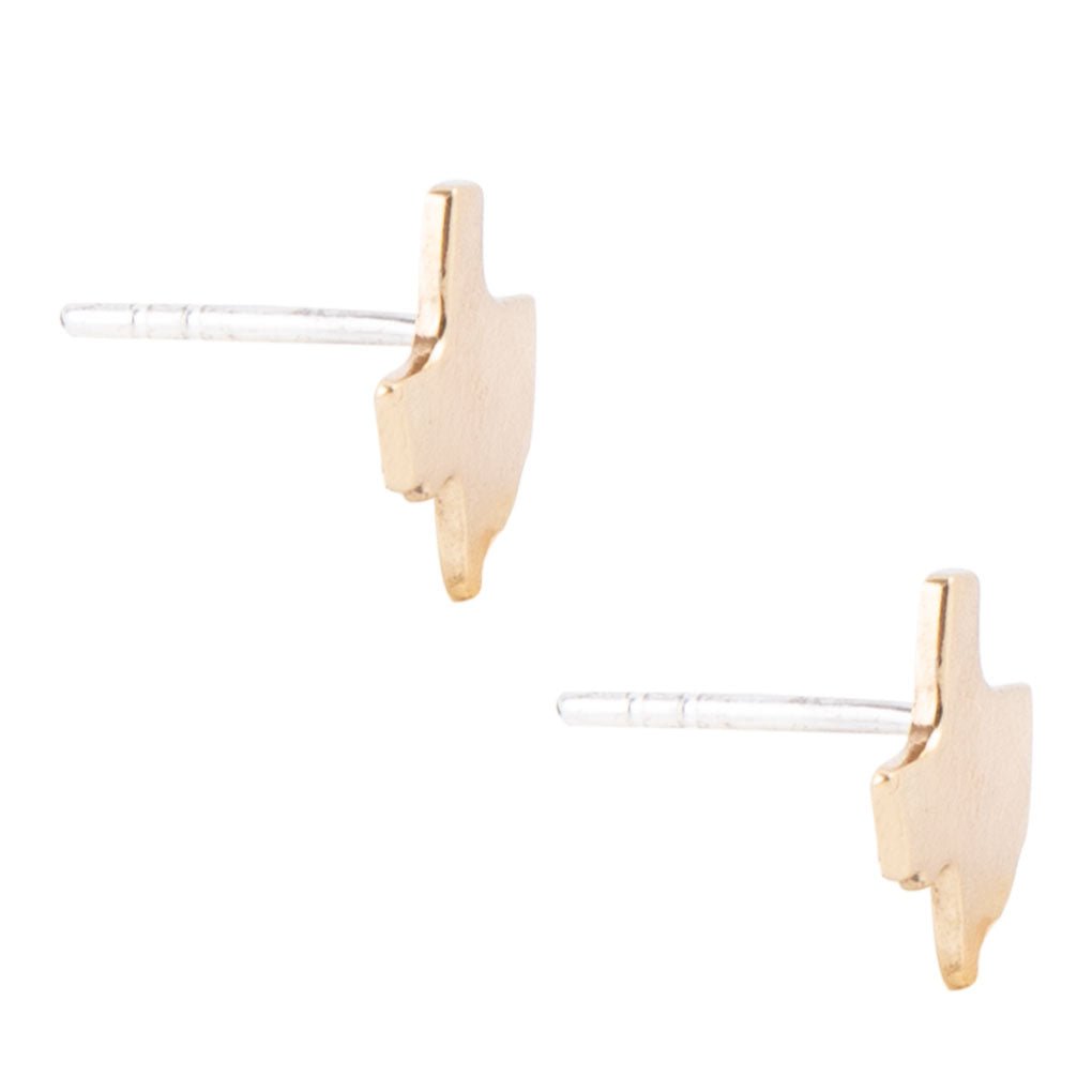 Texas Proud Earring - Bronze