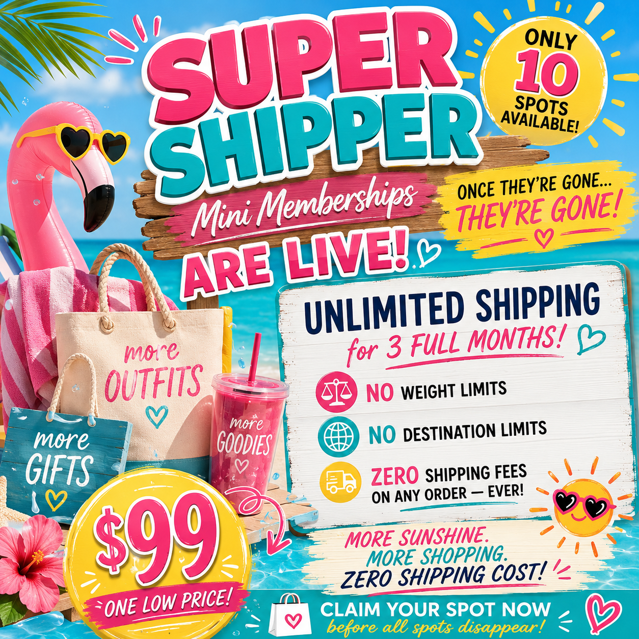 THREE MONTH SUPER SHIPPER MINI PLAN JUNE 1 - SEPT 1st!