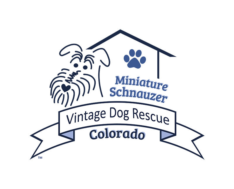CLEARANCE Colorado Mini Schnauzer Rescue FUNDRAISER (Exclusive) - High-quality Handcrafted Vibrant Leggings